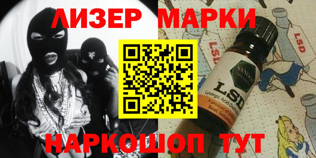 Лсд 25 Бердск