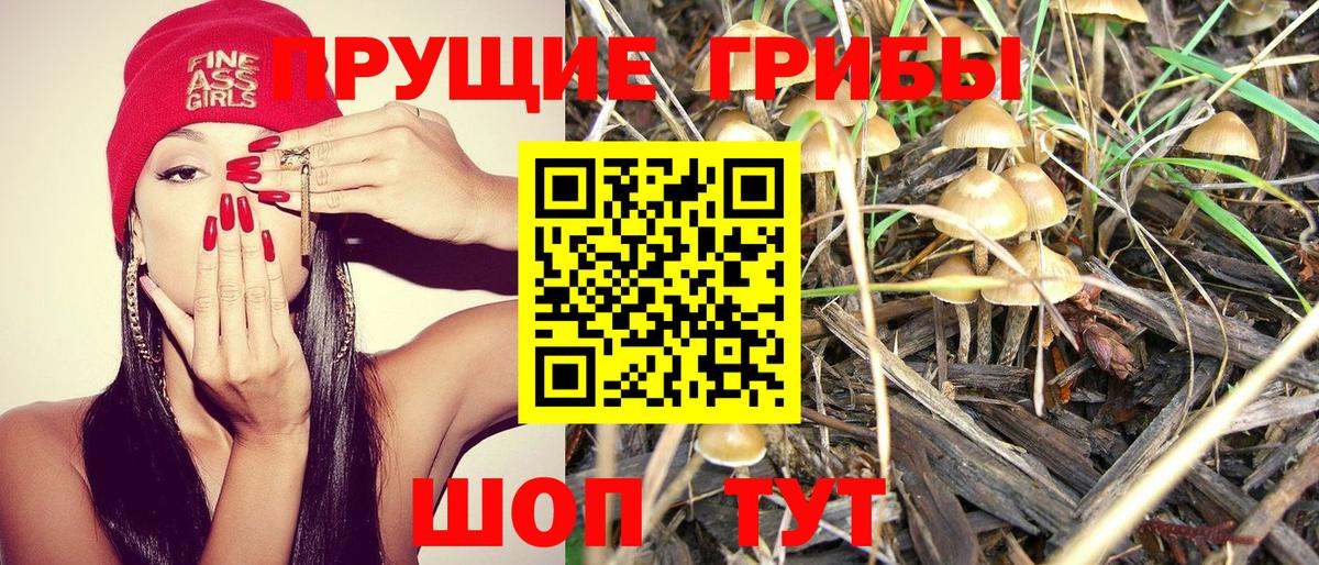 Псилоцибиновые грибы мухоморы Бердск